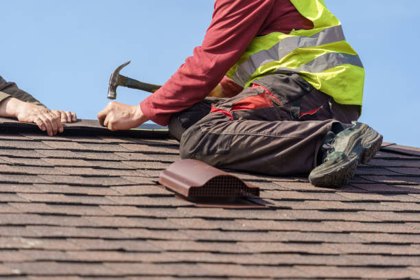 Professional Roofing Contractor in Apple Valley, MN