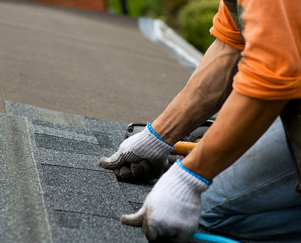 Roof Gutter Cleaning in Apple Valley, MN